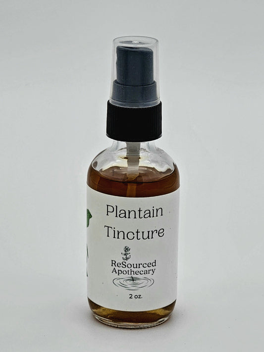 Plantain Tincture